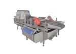 SUS304 1000KG/H Vortex Leafy Vegetable Washing Machine