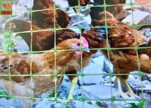 Wholesale Multi - Purpose Plastic Poultry Netting, Chicken Netting, Light Weight, Green Color, 1.5M High from china suppliers