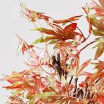 Red Chinese Style Artificial Potted Floor Plants Hotel Desk Decor Maple