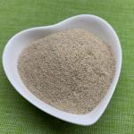 Single Cell Protein Feed Probiotics Lysine Fermentation Bacterial Protein