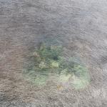 Anti UV 180gram Nonwoven Agriculture Mulch Film