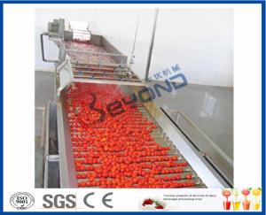 Wholesale Fruit Processing Tomato Juicer Machine , Electric Tomato Juicer Process Plant And Machinery from china suppliers