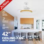 Elegant 42 Inch Chandelier Hidden Blade Ceiling Fan with 2- and Dimmer
