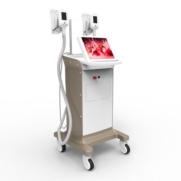 Big discount! 2016 hottest factory price Cryolipolysis Fast Slimming Equipment