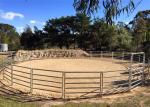 Galvanized Portable Heavy Duty Cattle Corral Panels