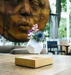 Levitating Plant Pot & Base ,magnetic floating air bonsai flowerpot for gift