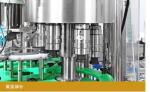 Bottled Automatic Drinking Mineral Water Bottling Plant drink mineral water
