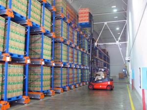 Wholesale Wireless Remote Control Radio Shuttle Racking 1000 - 1500Kg Loading from china suppliers