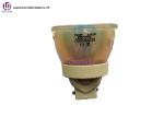 1.2 E21.9 113-714 Compatible Projector Lamps UHP465/370W Digital Projection