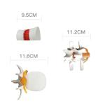 Vertebral Spine Lumbar Spine Models Skeleton For Medical Students