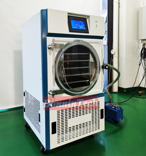 Food Fruit Vegetable Small Mini Lab Liofilizador Freeze Drying Machine Price