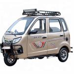 Gasoline 5 Seat 500kg 3 Wheel Bikes For Adults