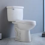 Single Flush Two Piece Elongated Toilet Right Height 12" Rough In S-Trap