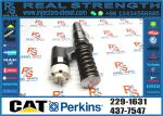 Fuel Injector 153-7923 317-5278 350-7555 250-1314 359-5469 375-4106 10R-8795 10R