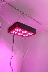 Wholesale Promotion!DHL Free shipping 200w Apollo 6 LED Grow light/indoor plant grow lamp from china suppliers