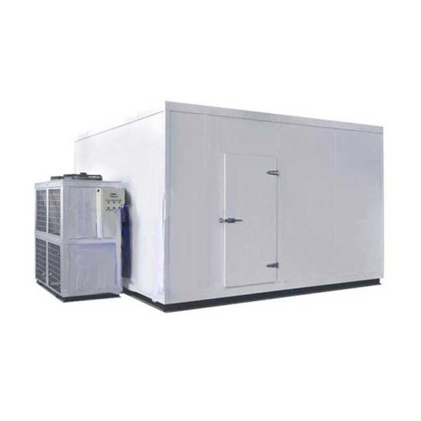 Customized Size Blast Chiller Freezer Warehouse Cold Container Copeland
