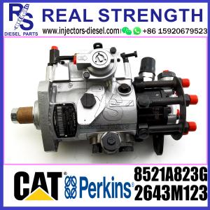 Wholesale Delphi 6 Cylinder Diesel Fuel Injection Pump 8521A823G 2643M123 from china suppliers