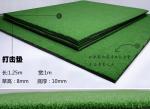 Golf practice swing practice net