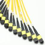 100G 200G MPO Male Female 8 12 16 24 Fiber to MPO Female Male Fiber Optic Patch