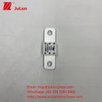 Automotive Circuit Breakers A202008 100A 100VDC EV FUSE ASTM