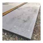 Customized 1095 and 15n20 Carbon Steel Plate with Oversea Jobs After-sales