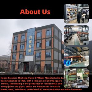 Threaded Live Joints EPDM Rubber Expansion Joints Forged Double Spherical Design