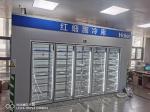 Beverage Fruits Drinks Display Walk in Cooler with Glass Door 220V/380V/440V