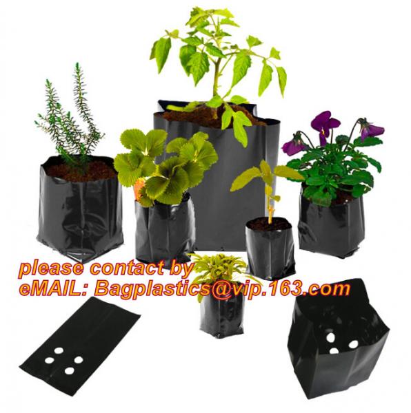 mini plastic nursery pots flower pots for herb seedling,cheap price black plastic nursery pots flexible soft pot, seedli
