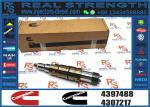 njector 2872544 2872289 2872284 4955080 for DCEC Cummins Engine