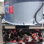 350KG Drain stainless steel step air dryer food dehydrating equipment continuous