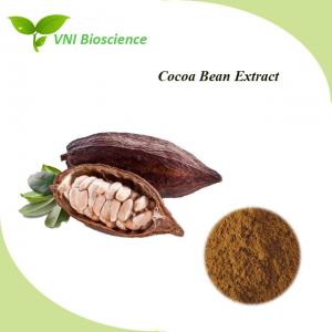 China OEM Cocoa Bean Extract Supplement Theobroma Cacao Extract Theobromine on sale