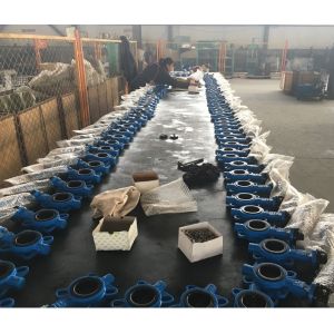 cast iron 3'' PN16 butterfly valve with pin