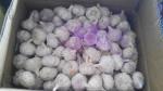 2018 China fresh garlic export to Brazil