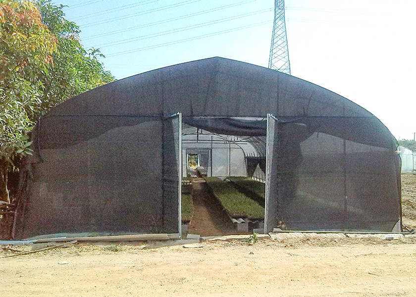 Temperature Control Outdoor Mushroom Greenhouse Pest Prevention With Film Shade Net