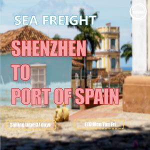 China CIF FOB Sea Freight China To Spain Port Trinidad Tobago Worldwide Cargo Shipping on sale