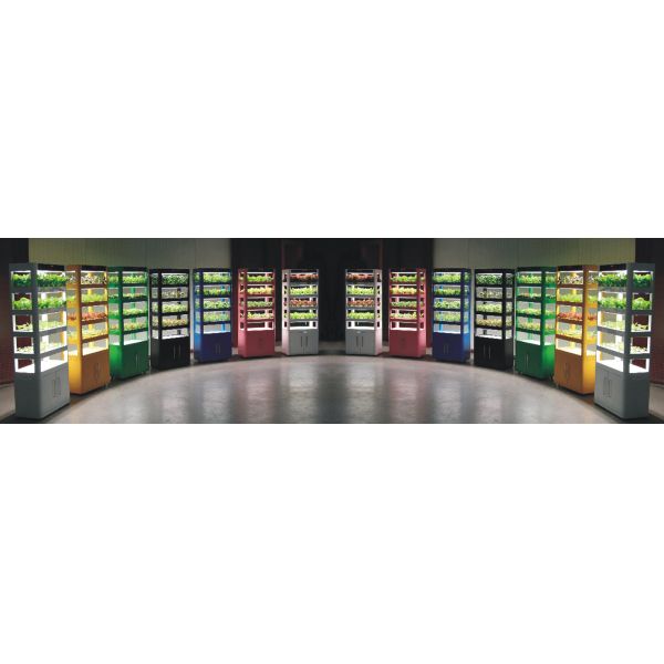 Home Intellect Vegetable Machine And Multi Layer Vertical Intelligent Planter