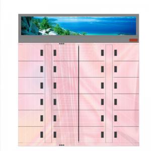 Wholesale Food Market Refrigerated Frozen Locker Electronic Storage Fresh Flowers Lockers from china suppliers