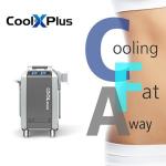 Fat Freezing Cryolipolysis Cryo Machine Wich Double 360 Degree Handles