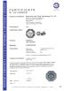 Professional China Adapter Charger Supplier Certifications