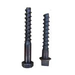 Carbon Steel Screw Spikes Rail Fasteners Factory Custom