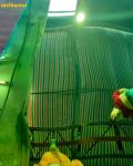SS304 201 Green Mirror Stainless Steel Color Sheet Scratch Resistance