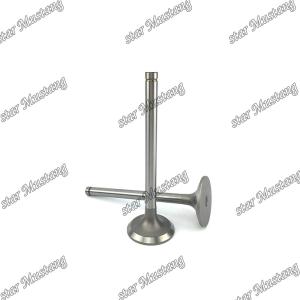Wholesale C13 Engine Spare Valve Part 252-7802 224-3030 For Carter from china suppliers