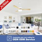 Decorative DC220V Solid Wood Ceiling Fan High Speed Energy Saving