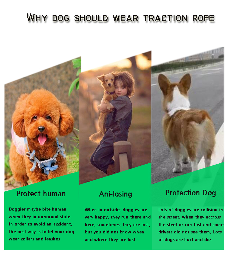 Adjustable LOGO Nylon Dog Leash . Dog Rope Lead Retractable Nylon Braided Pet Dog Leash