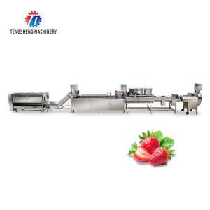 Wholesale SS304 Fruit And Vegetable Processing Line For Central Kitchens from china suppliers