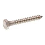 DIN571 Stainless Steel Hex Head Lag Screw Zinc Plated Steel Chrome 3/8'' X 2''