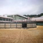 Wearing Rubber Horse Walker Mats Hore Worker Rubber Horse For Horse Running And