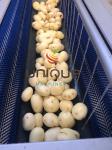 Electric Potato Peeler Roller Washing Peeling Cleaning Machine Output Name