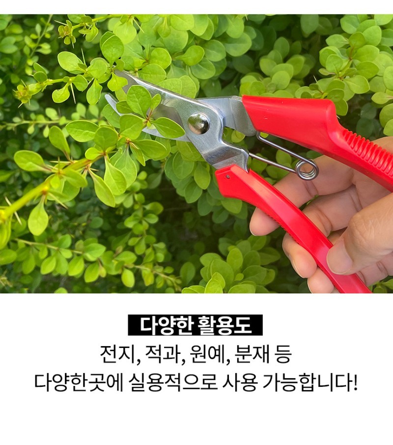 Scissors Handheld Yard Tree Tool Titanium Pruning Shears SINSEUNG SB708 Heavy Duty Bypass Pruner Garden