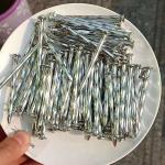 Customized Small Electro Galvanized Nails Steel Concrete Nail